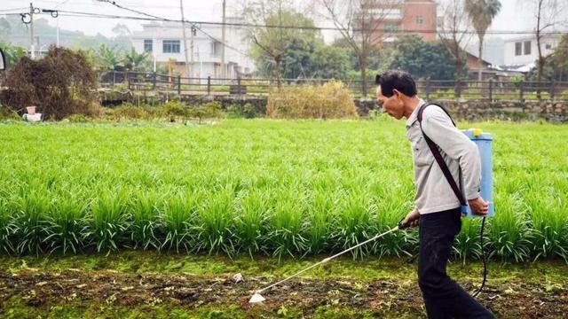 蜜柚官网，解锁健康生活新密码✅✅✅蜜柚官网是多少