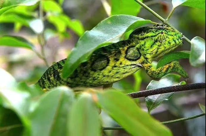 探索Be365网投的精彩世界，揭秘其独特规则与乐趣✅✅✅be365网站