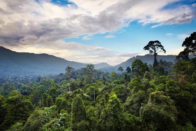 探索沙巴(中国)网站有限公司官网,一站式旅游服务的新视界 🌍✅✅✅沙巴小众玩法,让你赢遍朋友圈! 探索沙巴(中国)网站有限公司官网,一站式旅游服务的新视界 🌍✅✅✅沙巴小众玩法,让你赢遍朋友圈!