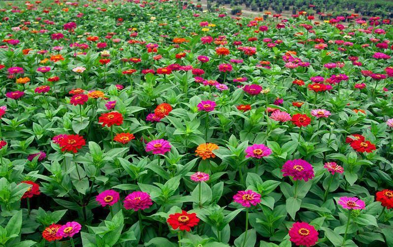 探索东森在线官网,一站式娱乐与资讯的数字乐园 🎉✅✅✅东森电影官网 探索东森在线官网,一站式娱乐与资讯的数字乐园 🎉✅✅✅东森电影官网